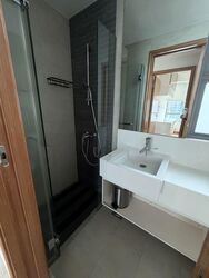 Park Infinia At Wee Nam (D11), Condominium #580907511